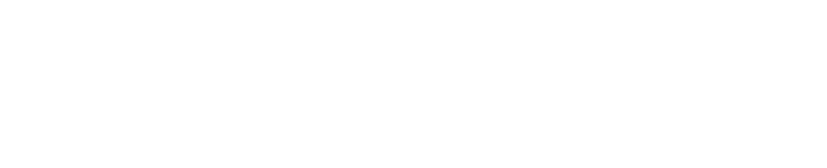 Dismatex